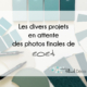 Les divers projets déco en attente des photos finales de 2024
